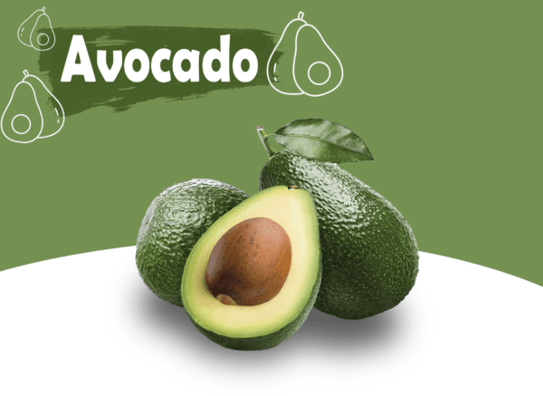 Avocado Exporter - avocado price